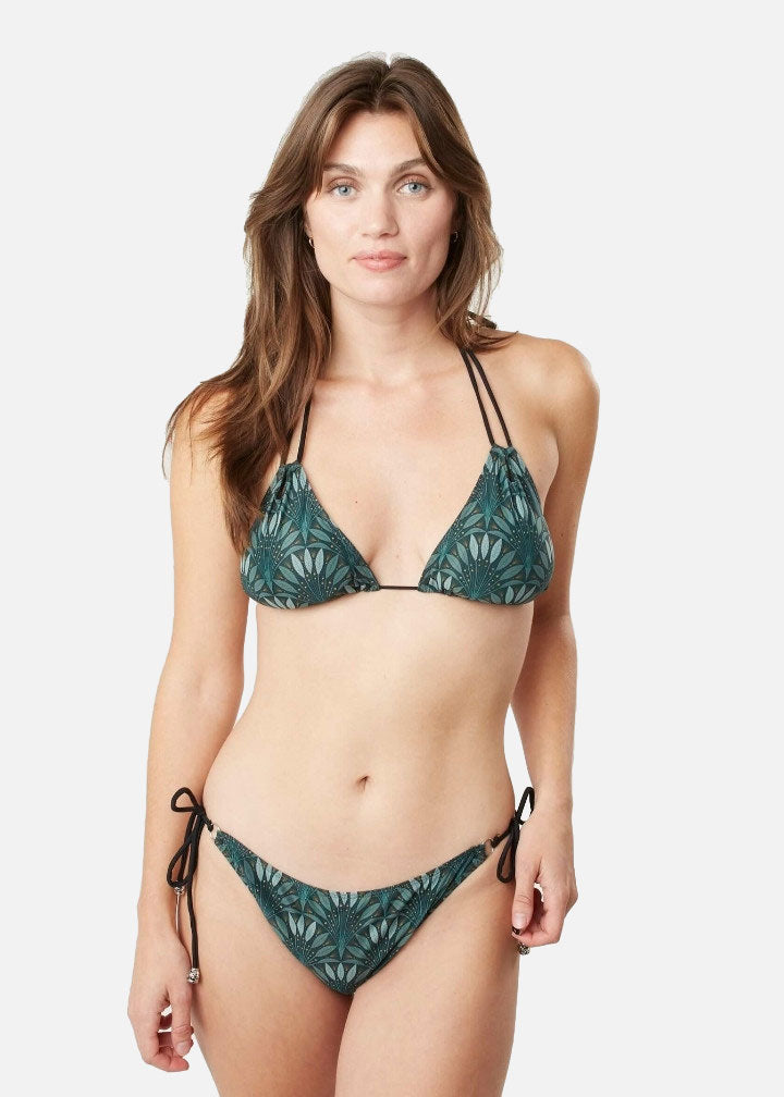 Evergreen - Knyttrosa